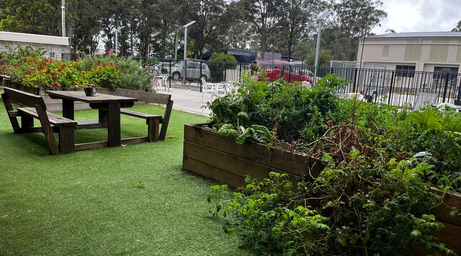The outdoor area near the kitchen.