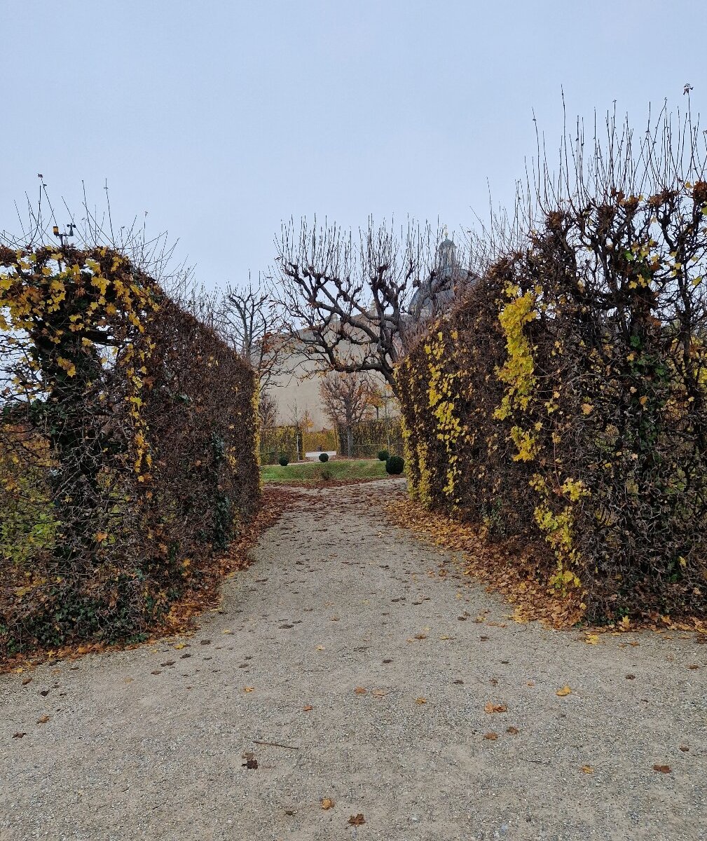 Schwarzenberg Garten Qué SABER antes de ir (ACTUALIZADO 2025