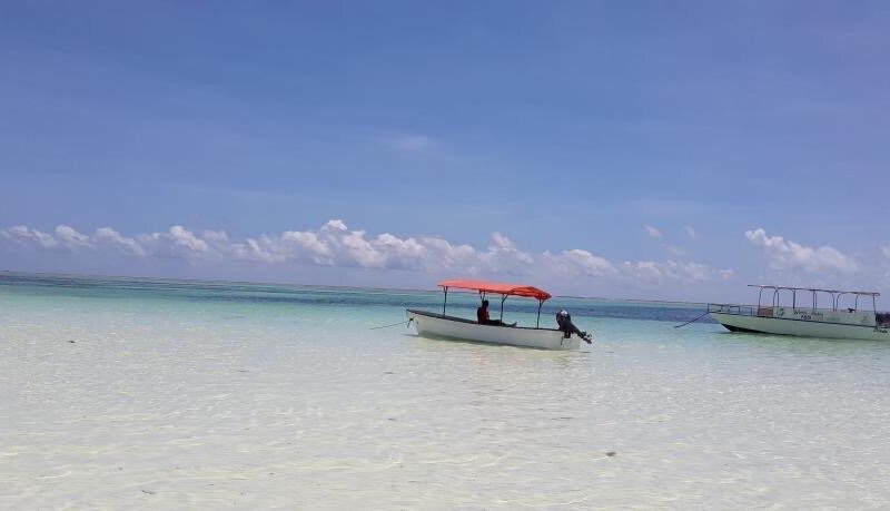 pingwe tours and safaris (Zanzibar Island) - All You Need to Know BEFORE You Go