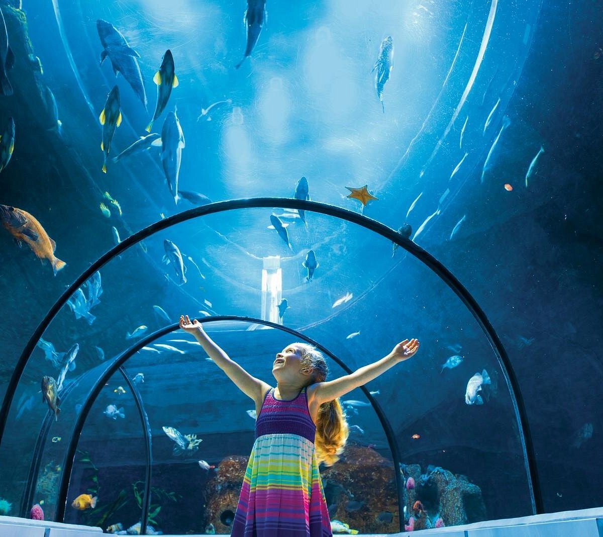 Aquarium du Québec - All You Need to Know BEFORE You Go (2024)