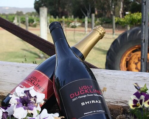 wine tours in swan valley