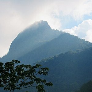 Viajesche, Pico de Loro, Valle del Cauca, Trekking