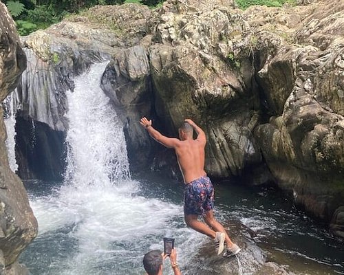 jungle tour in puerto rico