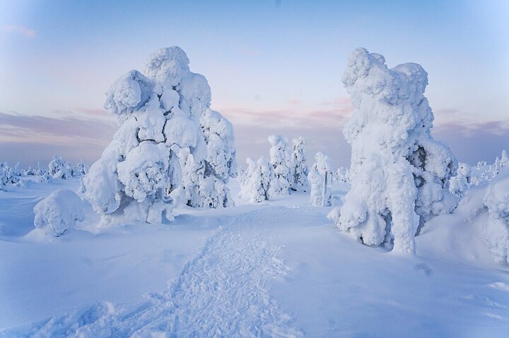 NOVO JOGO DE SOBREVIVÊNCIA NA NEVE DO ÁRTICO - NORTHERN LIGHTS 