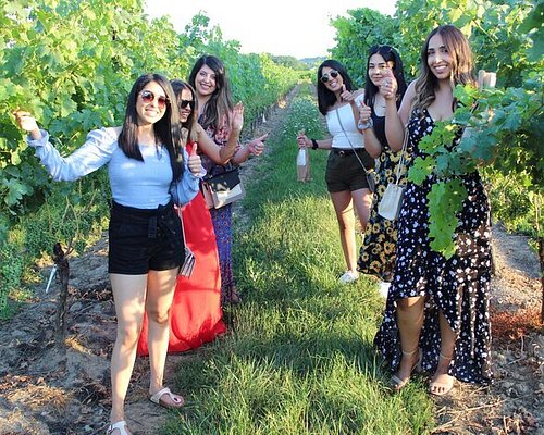 niagara falls winery tour