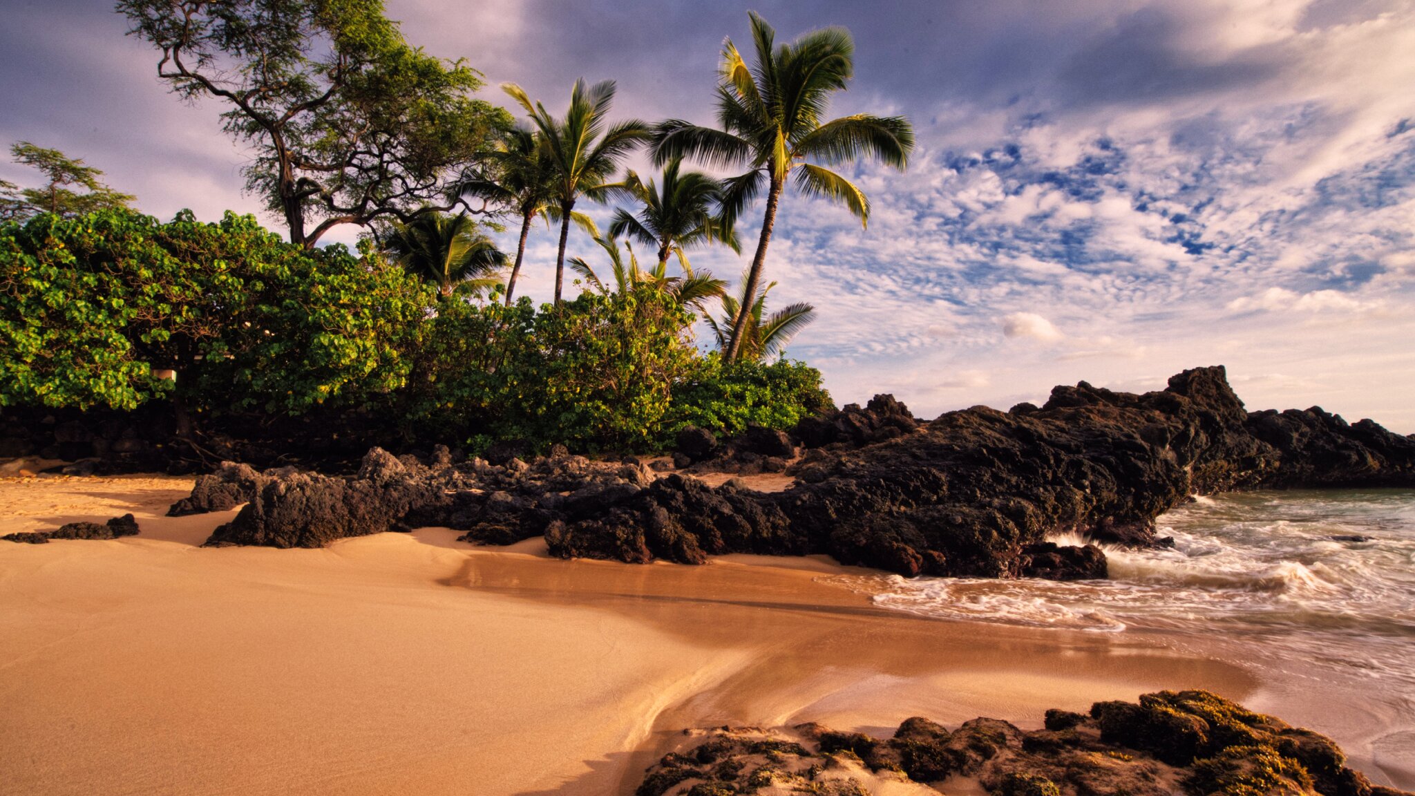 THE 15 BEST Things To Do In Maui 2024 Must See Attractions   Caption 