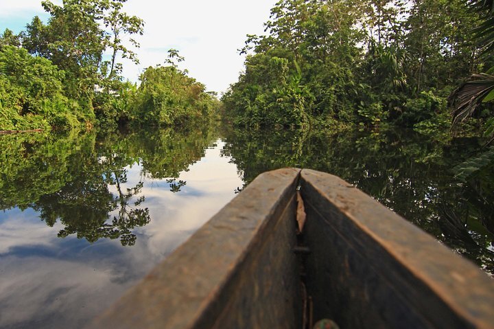 2023 4 Days Explore the Ecuadorian Jungle Napo River from Quito