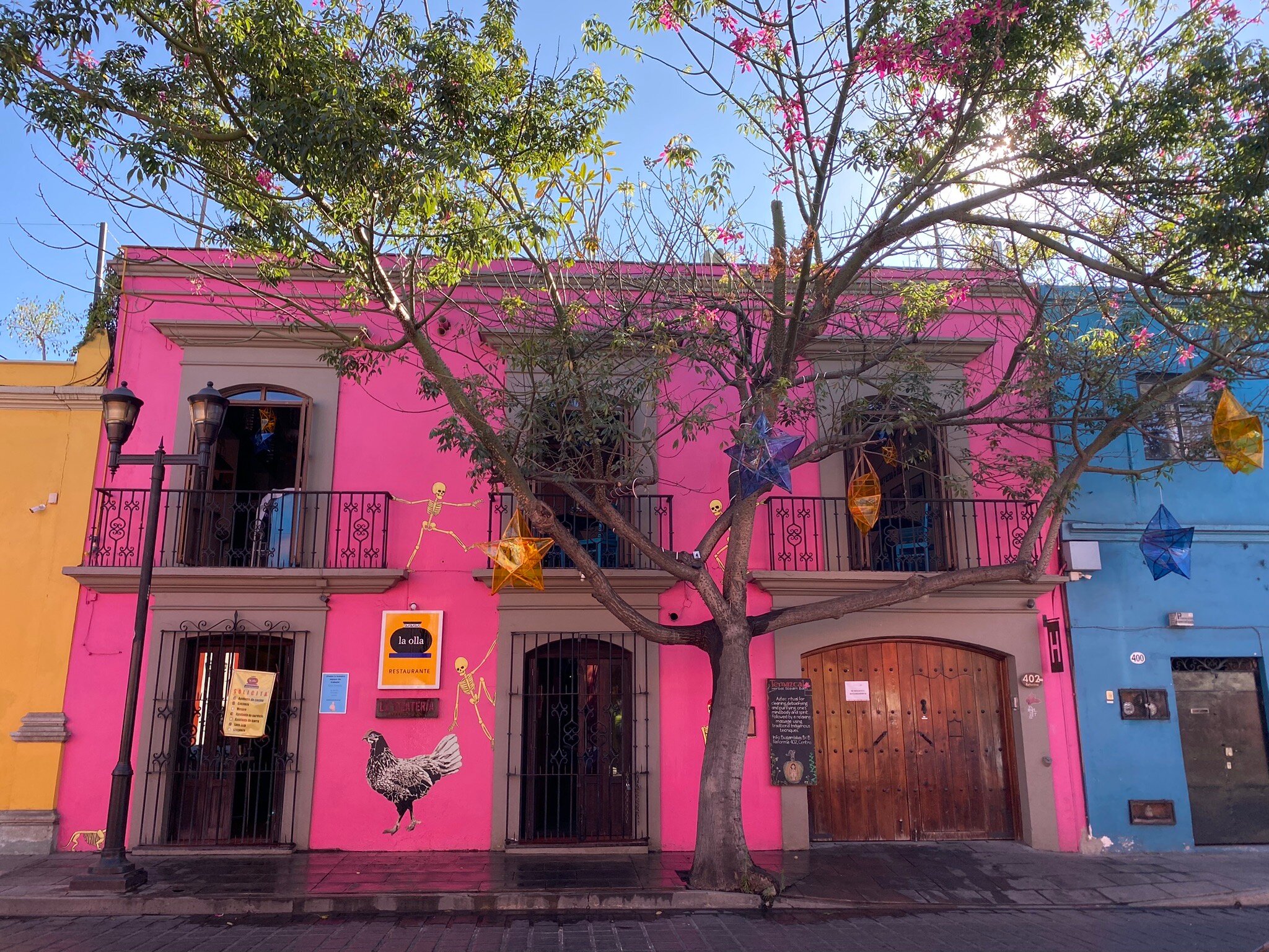 CASA DE LAS BUGAMBILIAS B&B - Updated 2023 Prices & Reviews (Oaxaca ...