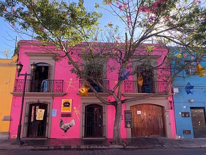 CASA DE LAS BUGAMBILIAS B&B - Updated 2023 Prices & Reviews (Oaxaca, Mexico)