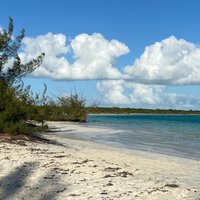 2023 4hour Group Half Day Snorkeling Excursion in Grace Bay