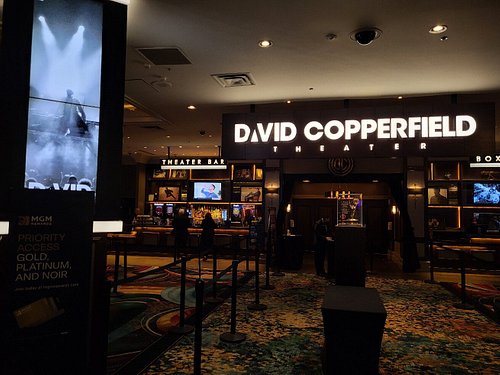 THE 10 BEST Las Vegas Performances (Updated 2023) - Tripadvisor