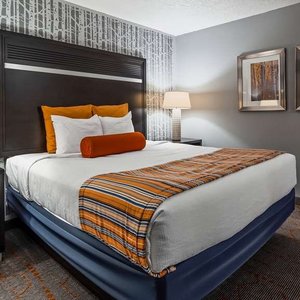 1 Bedroom Suite with 1 King Bed