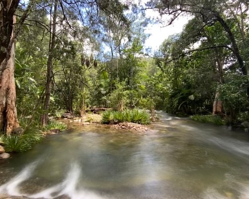 2023 O Que Fazer Em Mackay Os 10 Melhores Pontos Turísticos Tripadvisor 7453