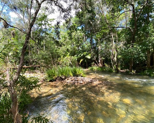 2023 O Que Fazer Em Mackay Os 10 Melhores Pontos Turísticos Tripadvisor 6144