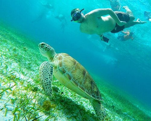 Power snorkel por Cozumel - Tourse - Excursiones