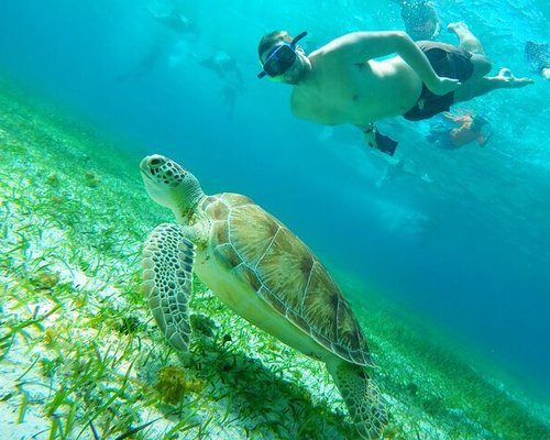 THE 10 BEST Cozumel Scuba Diving & Snorkeling (Updated 2023)