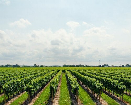german wine tourism