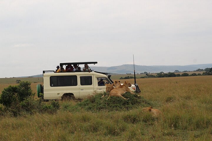 kenya game tours