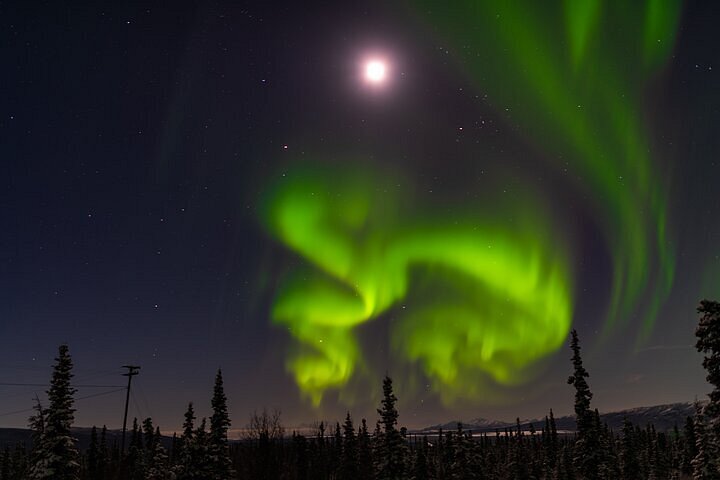 The Northern Lights: Celestial Performances of the Aurora Borealis