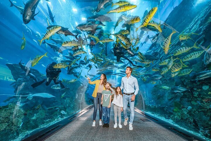 2023 Dubai Aquarium with Penguin or Otter or Crock or Ray Encounter