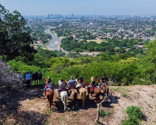 10 MEJORES Tours a caballo en Puerto Vallarta (Actualizado 2023) 10 MEJORES Tours a caballo en Puerto Vallarta (Actualizado 2023)