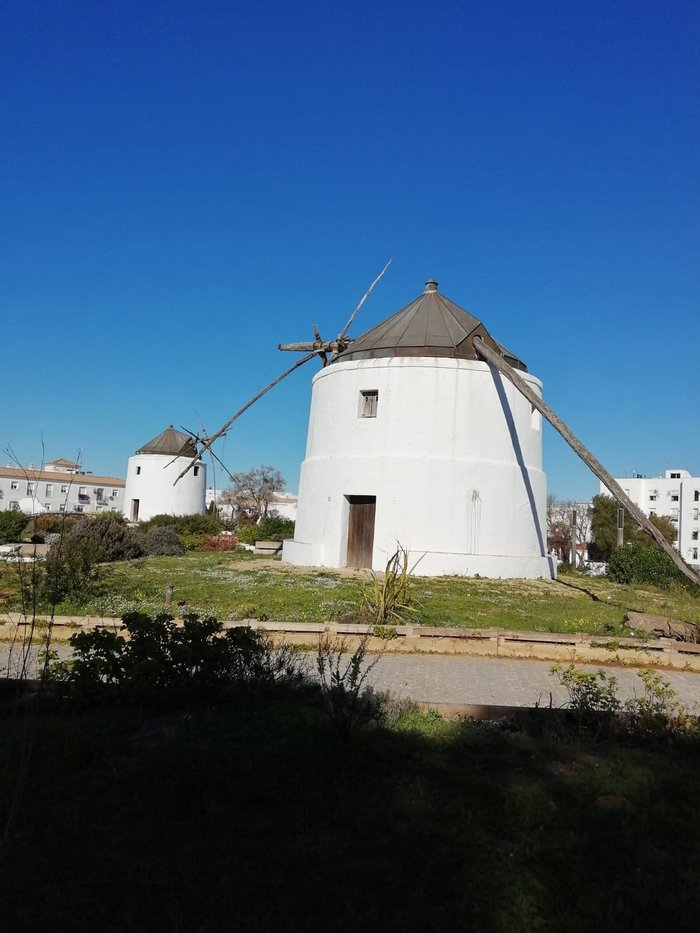 Imagen 7 de Alhania Vejer