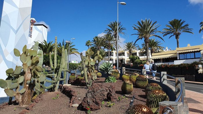 Imagen 8 de Centro Comercial San Agustín