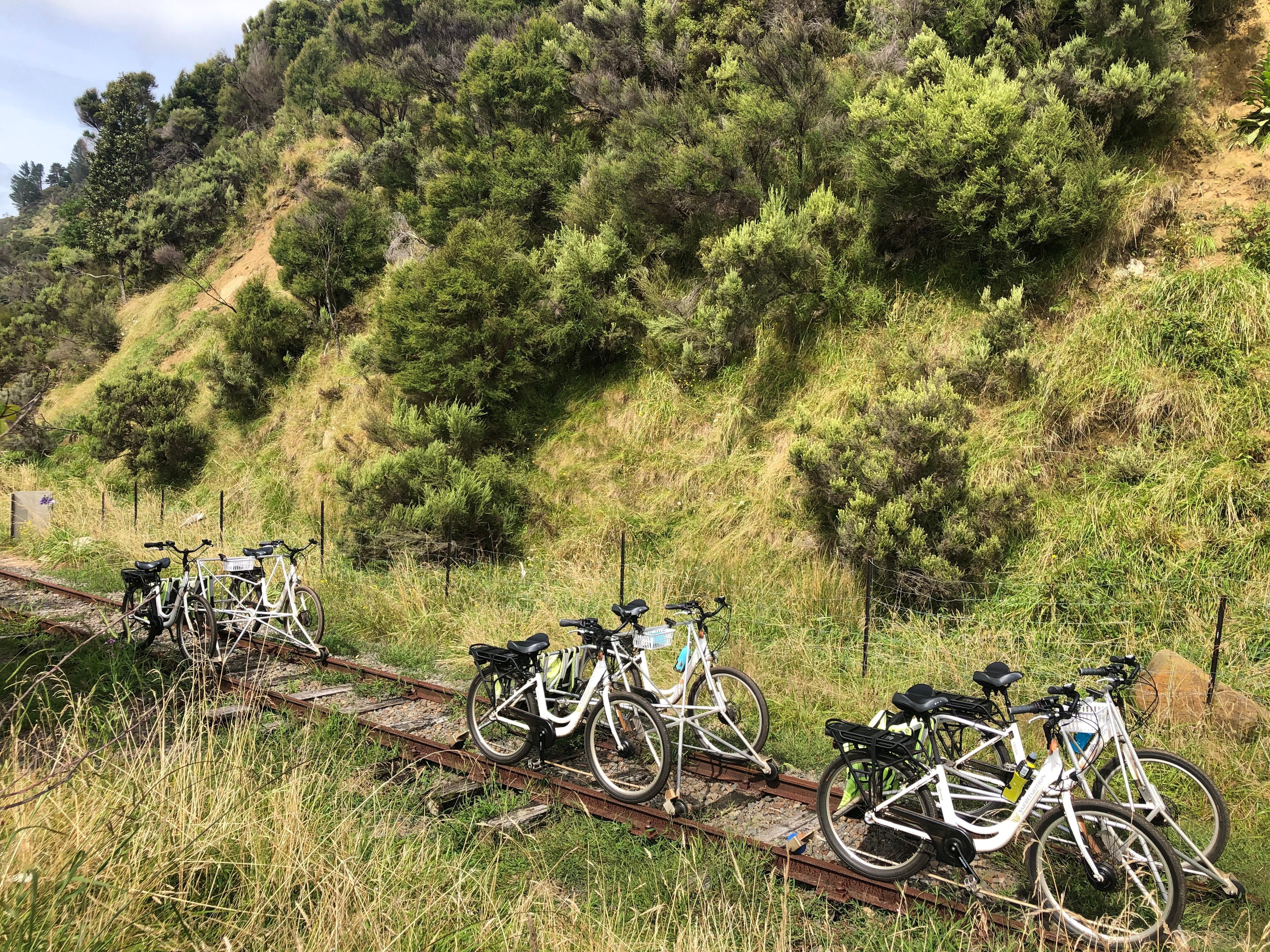 gisborne railbike adventure