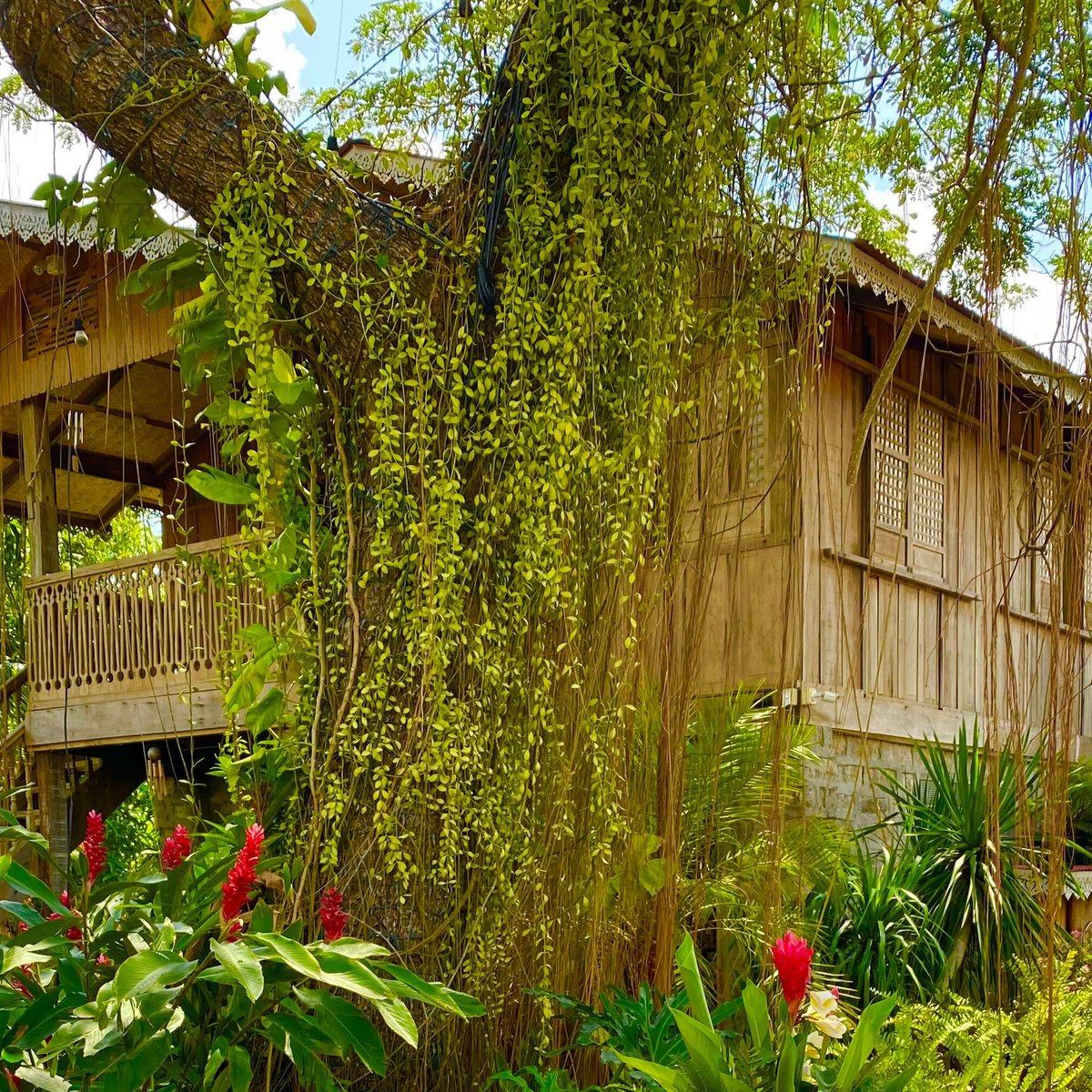 casa-bulaque-a-visit-with-alfresco-lunch-baliwag-town-tour-all-you