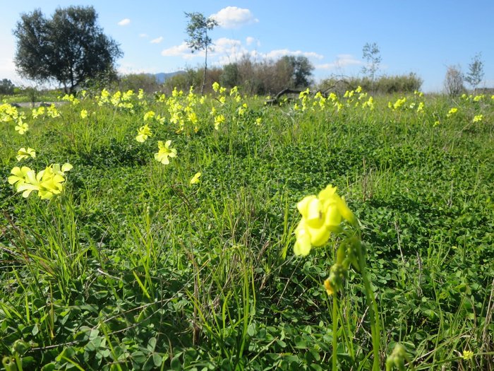 Imagen 8 de Parque del Guadalhorce