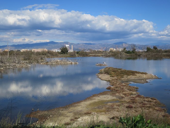 Imagen 7 de Parque del Guadalhorce