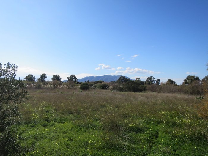 Imagen 6 de Parque del Guadalhorce