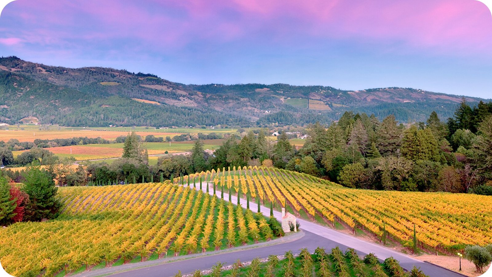 5 wine country destinations to explore on a California road trip ...