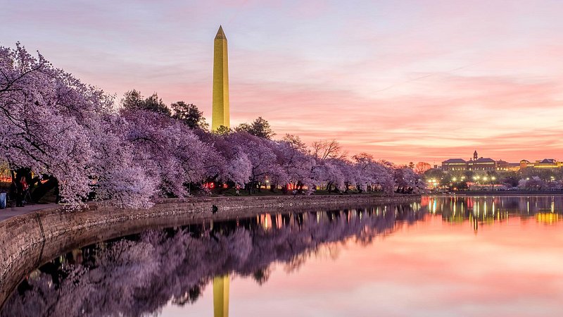 Pink skies over the Tidal Basin and Washington Monument in Washington, D.C. as sunset