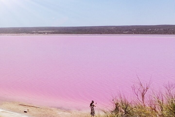 pink lake tour
