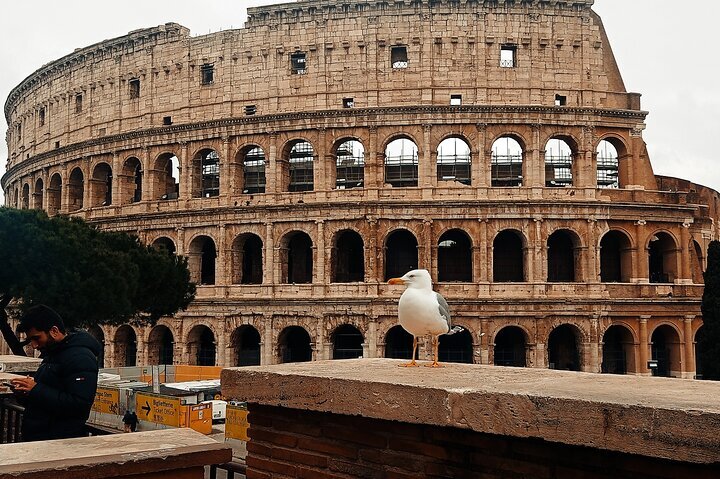 2024 Colosseum Express Tour Provided By Skip & Go - Tripadvisor