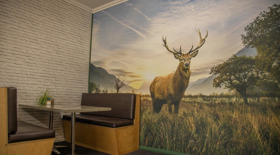 The "Lonely Stag" inside the store. 