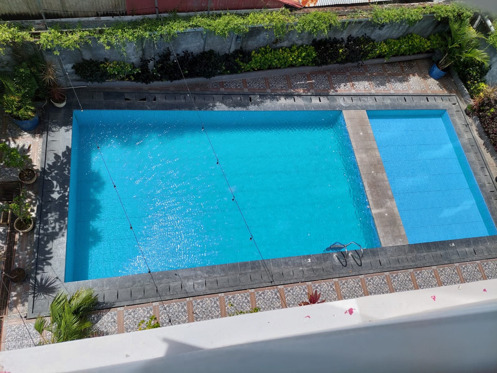 Favehotel Olo Padang Pool: Pictures & Reviews - Tripadvisor