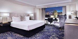 Newly Renovated Premiere Room Type