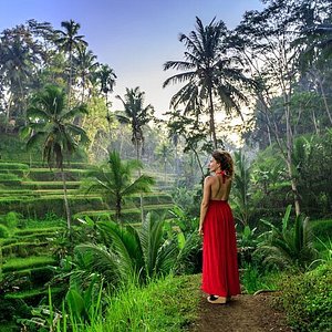 UBUD YOGA CENTRE - All You Need to Know BEFORE You Go (with Photos)