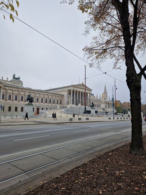 Vienna review images