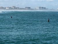 Ponce Inlet Jetty - All You Need to Know BEFORE You Go (2024)