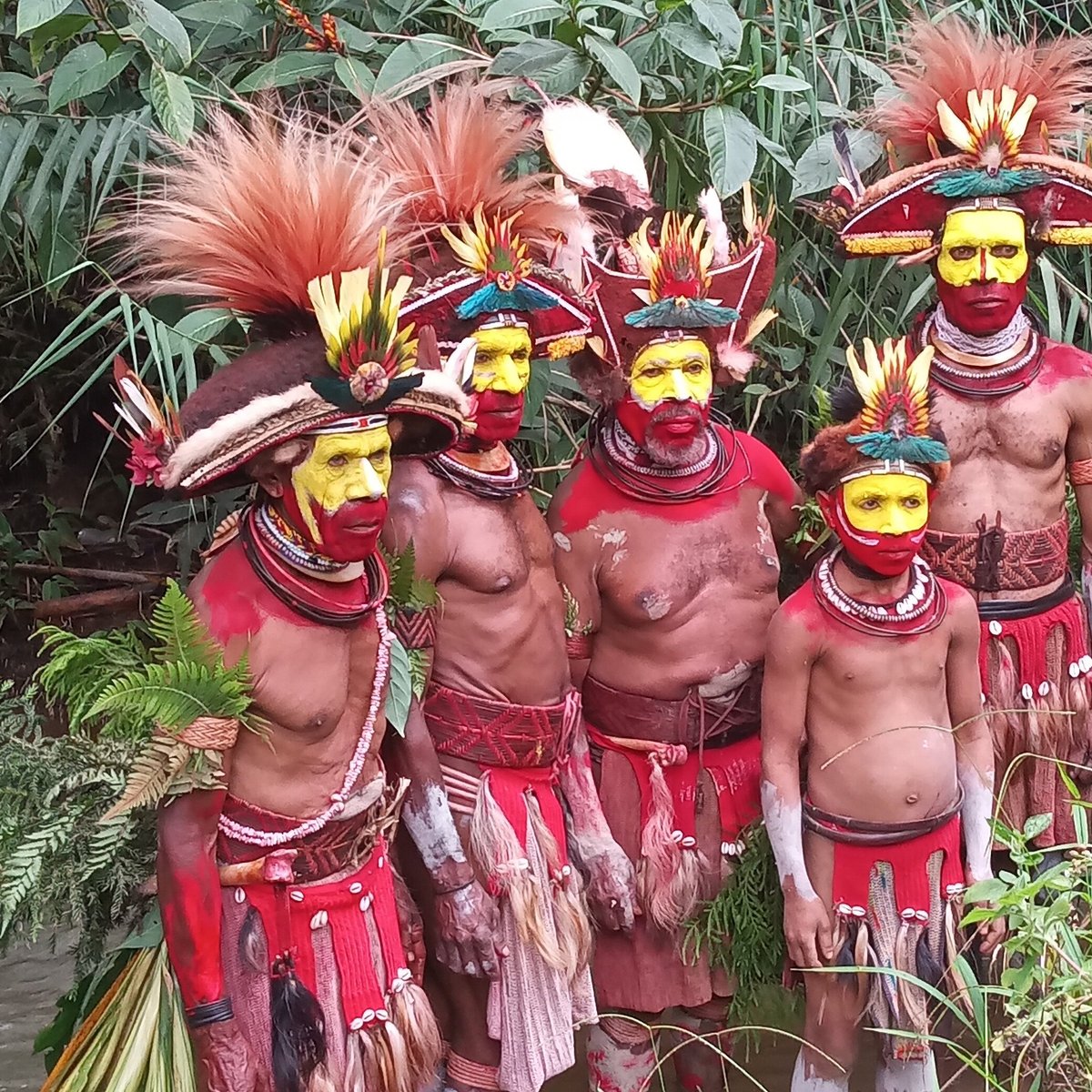 MT. HAGEN - New Guinea Natural Tours (Mount Hagen) - All You Need to ...