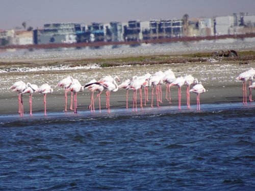 Walvis Bay review images