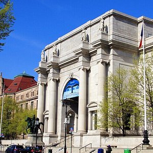 American Museum of Natural History Reviews