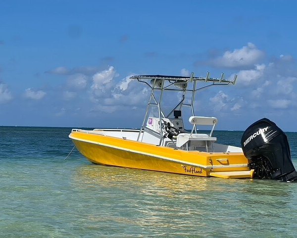 2023 Starfish Point, Stingray City-Sandbar & Coral Gardens