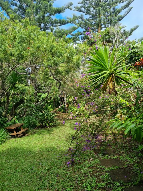 BROAD LEAF VILLAS (AU$263) - 2024 Prices & Reviews (Norfolk Island ...