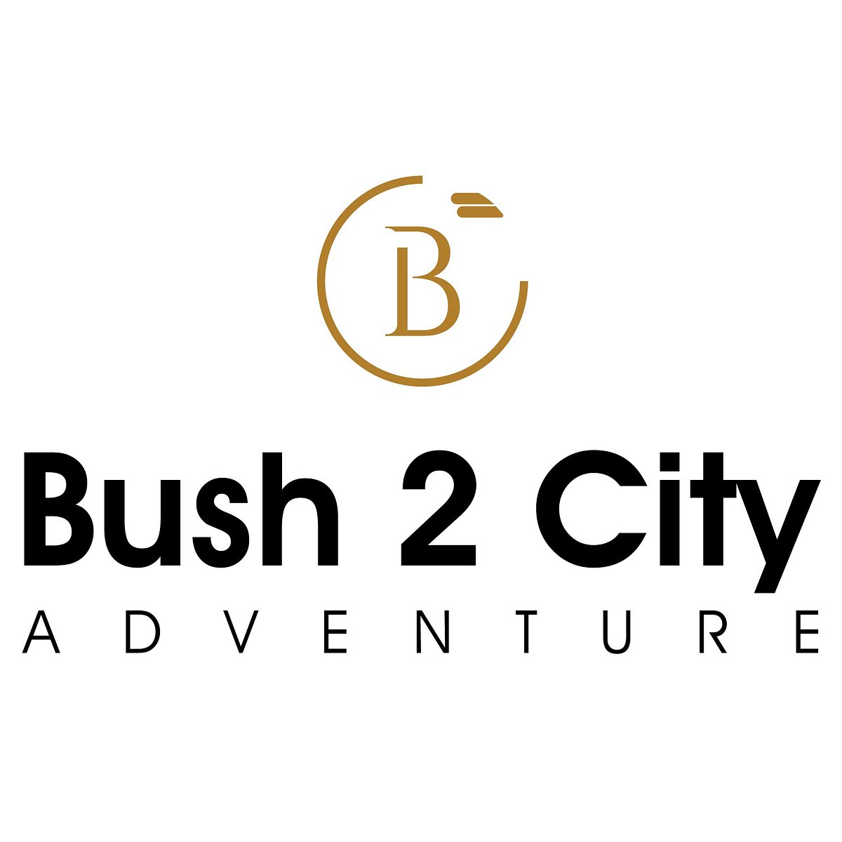 Bush 2 City Adventure