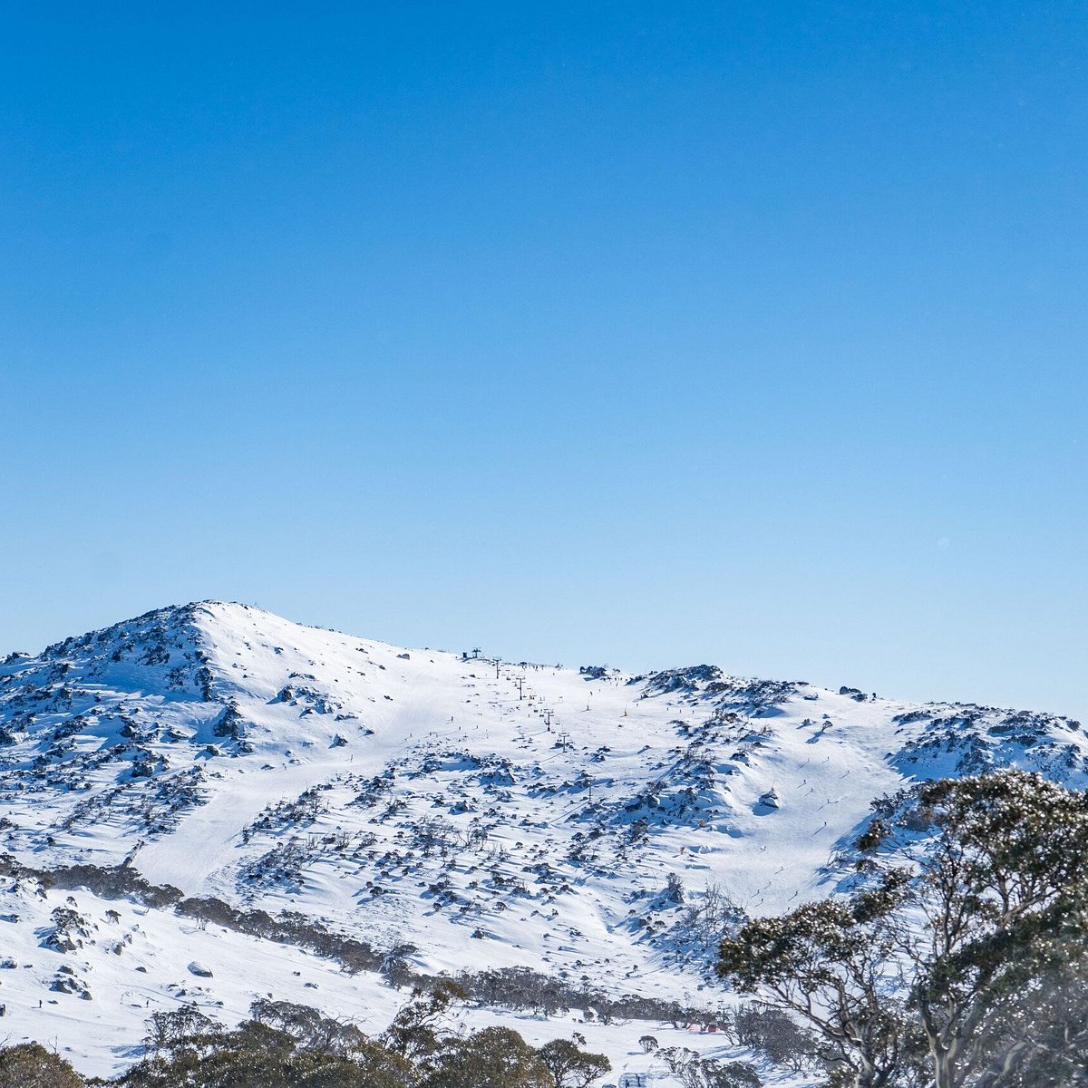 day trips from canberra to snow