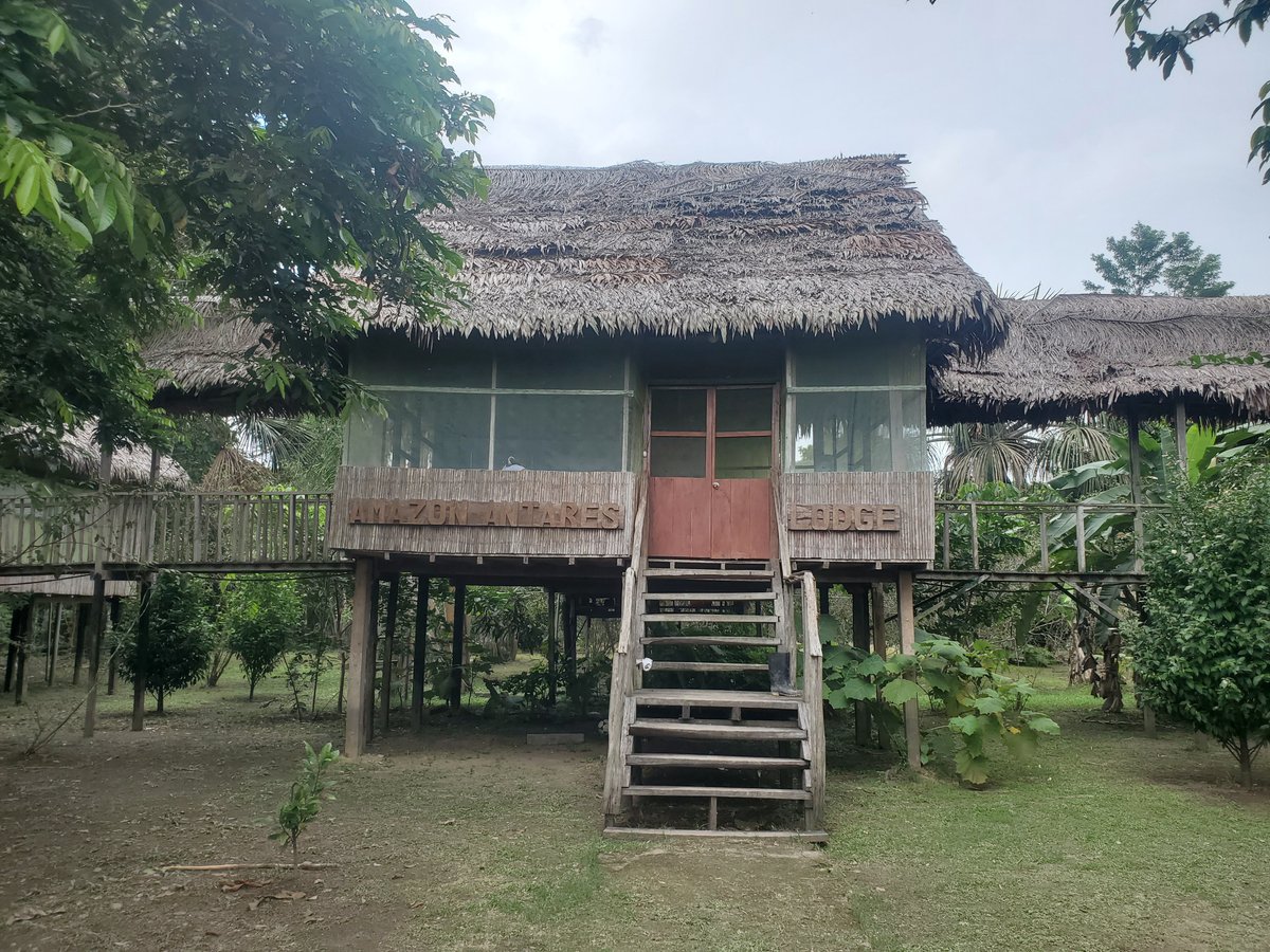 ANTARES AMAZON LODGE - Updated 2024 Reviews, Photos & Prices